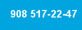 908 517-22-47